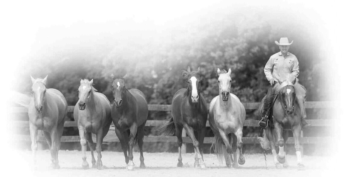 Double Dan Horsemanship