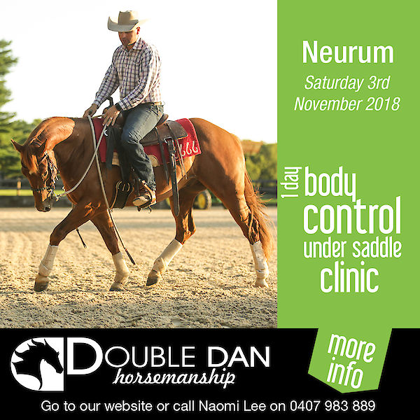 1 Day Body Control Under Saddle