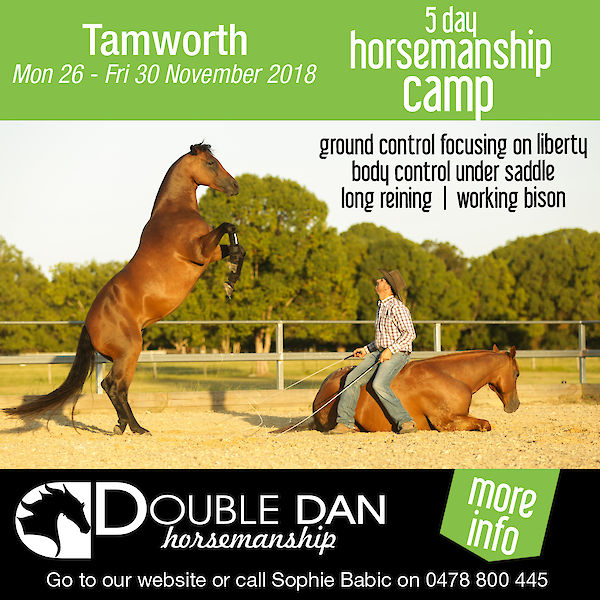 5 Day Horsemanship Camp
