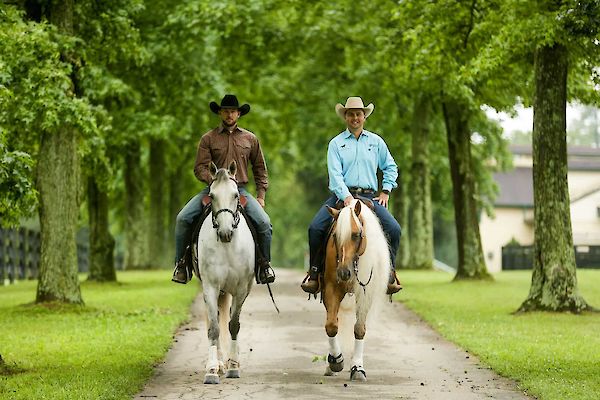 3 Day Dan Steers at Equidays 2019