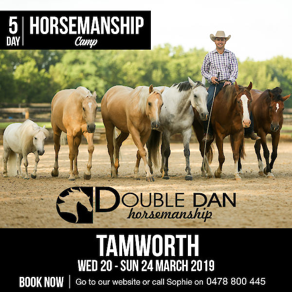 5 Day Horsemanship Camp