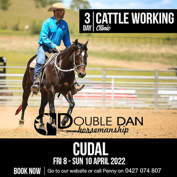 3 Day Cattle Working