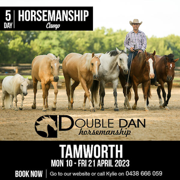 5 Day Horsemanship Camp